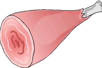 Una pieza de jamón cocido con hueso; dibujo.