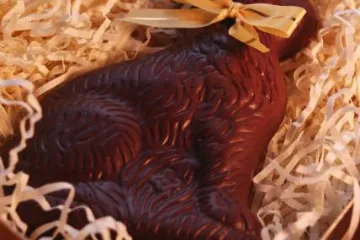 Conejo de chocolate.