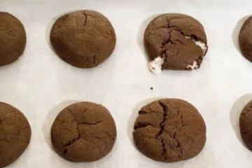 Bandeja de horno forrada.