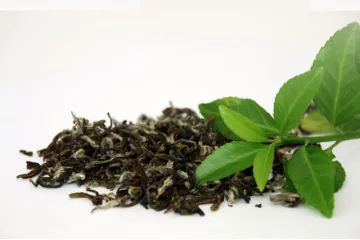 Hojas frescas de té y té suelto.