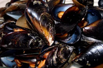 Mejillones cocidos.