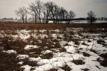 Homestead en Nebraska.