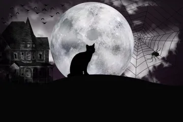 Casa abandonada, gato negro, luna llena y araña, motivos de Halloween.