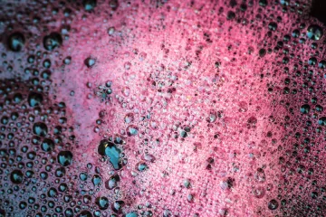 Mosto de uva tinta fermentando. Hay espuma en la superficie.