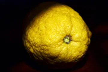 Detalle de una cidra o cidro.