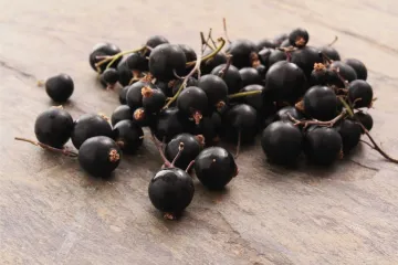 GRoselllas negras sobre una mesa.