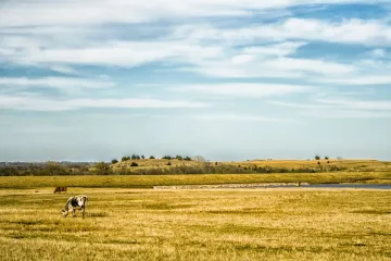 Pisaje de Oklahoma, una región ganadera.