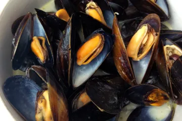 Detalle de mejillones cocinados con vino blanco y nata líquida.