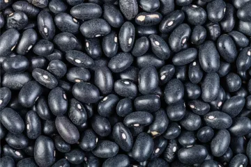 Detalle de alubias negras.