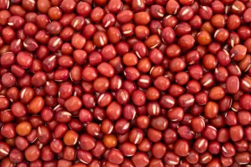 Judías azuki secas.