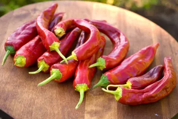 Chiles rojos mexicanos.