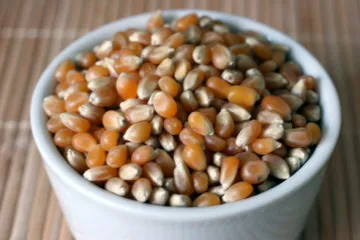 Maiz en grano.