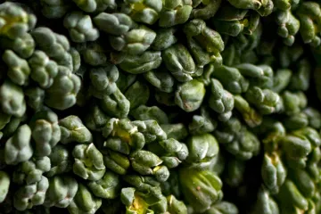Detalle de un trozo de brócoli.