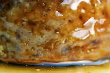 Budín hecho al vapor cubierto con caramelo.