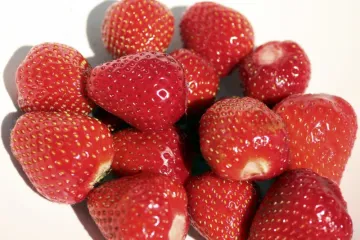 Fresas frescas de temporada, recién recogidas, ya lavadas y sin rabos.