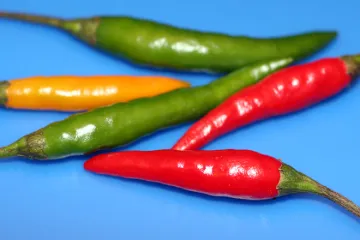 Guindillas tailandesas, o chiles tailandeses, de color amarillo, verde, y rojo.