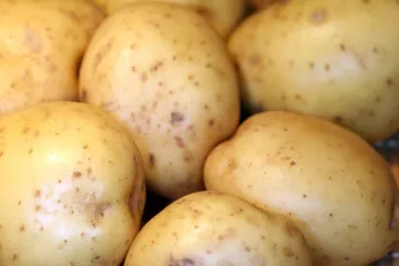 Patatas nuevas.