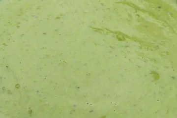 Guisantes triturados en puré o salsa.