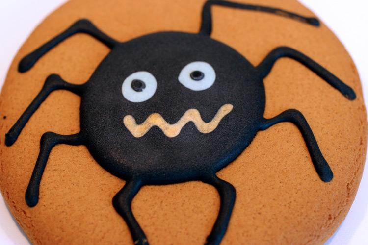 Galleta de jengibre redonda con araña dibujada con chocolate.
