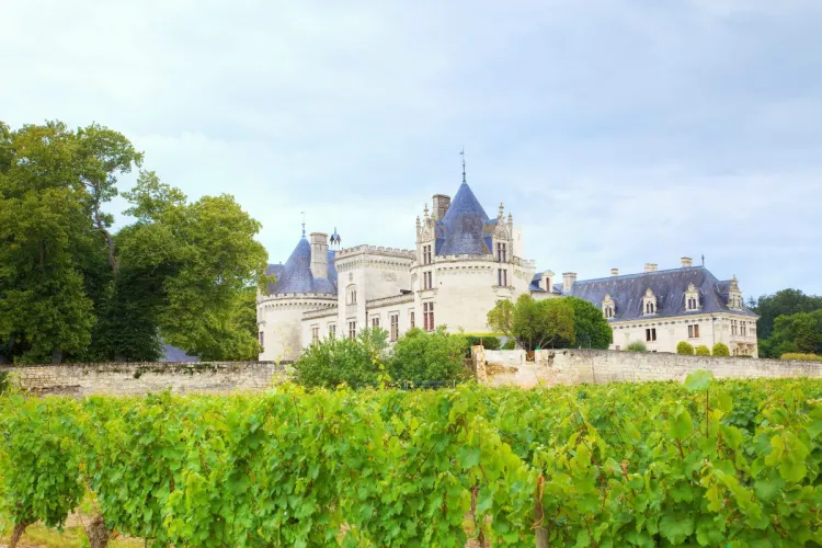 Un castillo, o chateau, en el Valle del Loira con su viñedo.