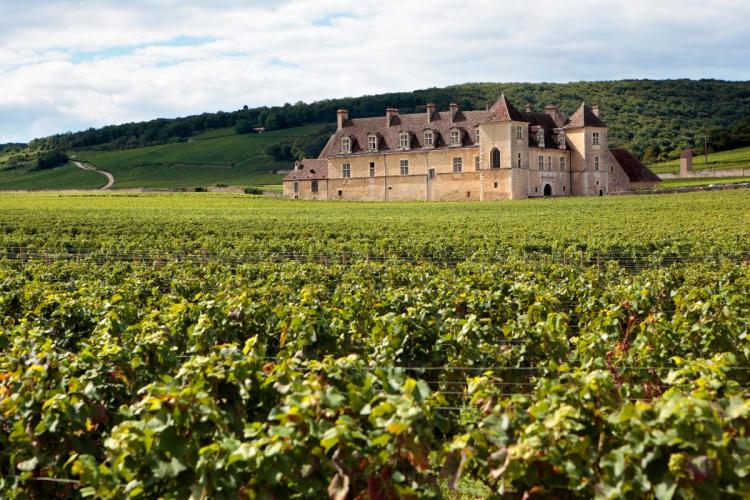 Chateu y viñedo típicos en Francia.