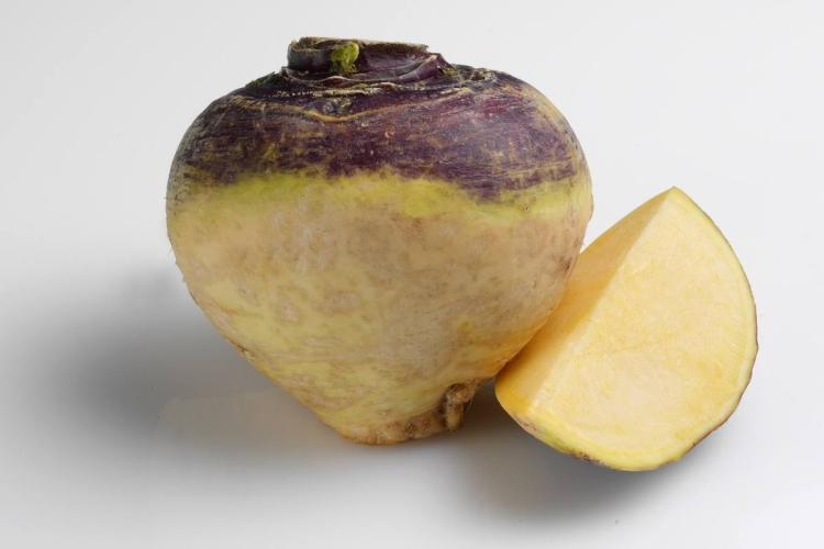 Un nabo sueco, o rutabaga, y una secciòn de otro.
