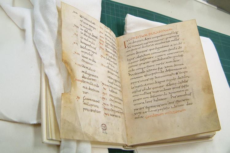 Manuscrito de Apicius, 900 AD, del monasterio de Fulda, Alemania, adquirido por la New York Academy of Medicine.