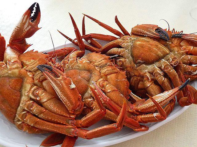 Cangrejos cocidos en un plato.