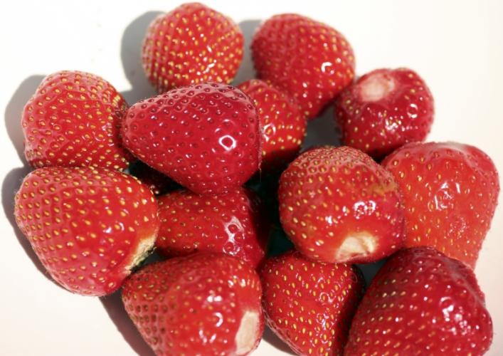 Fresas frescas de temporada, recién recogidas, ya lavadas y sin rabos.