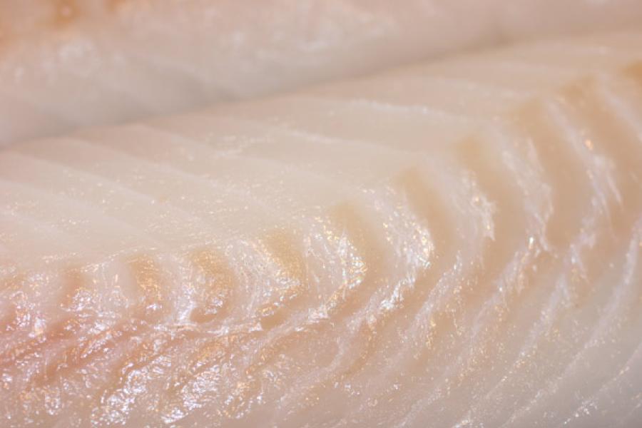 Detalle de filete de bacalao crudo.