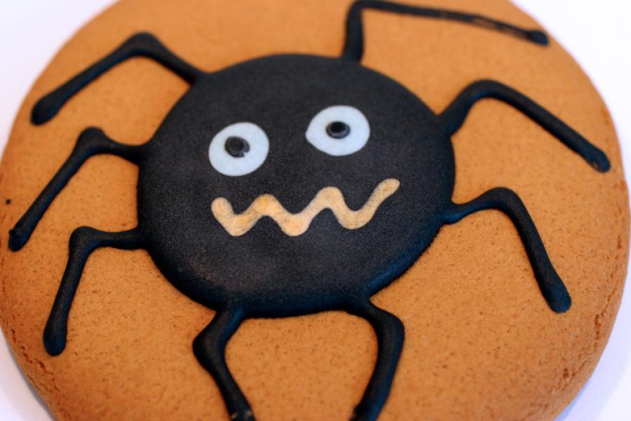 Galleta de jengibre redonda con araña dibujada con chocolate.