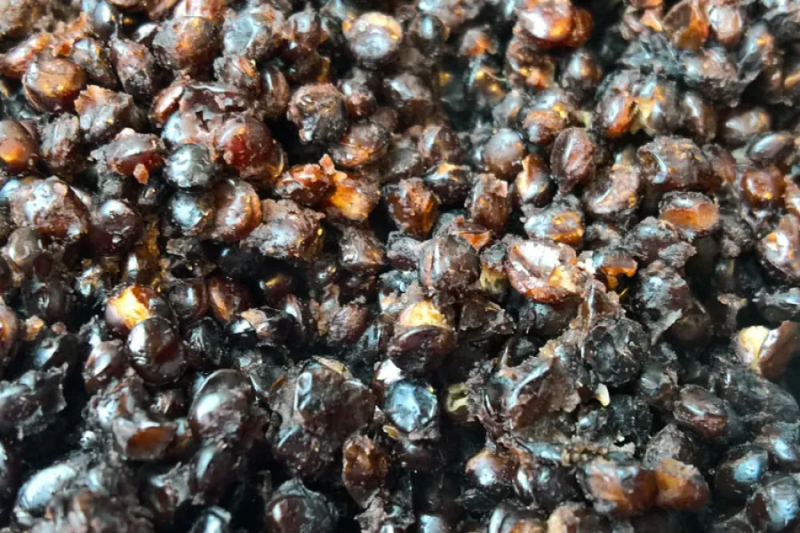Lentejas beluga cocidas.