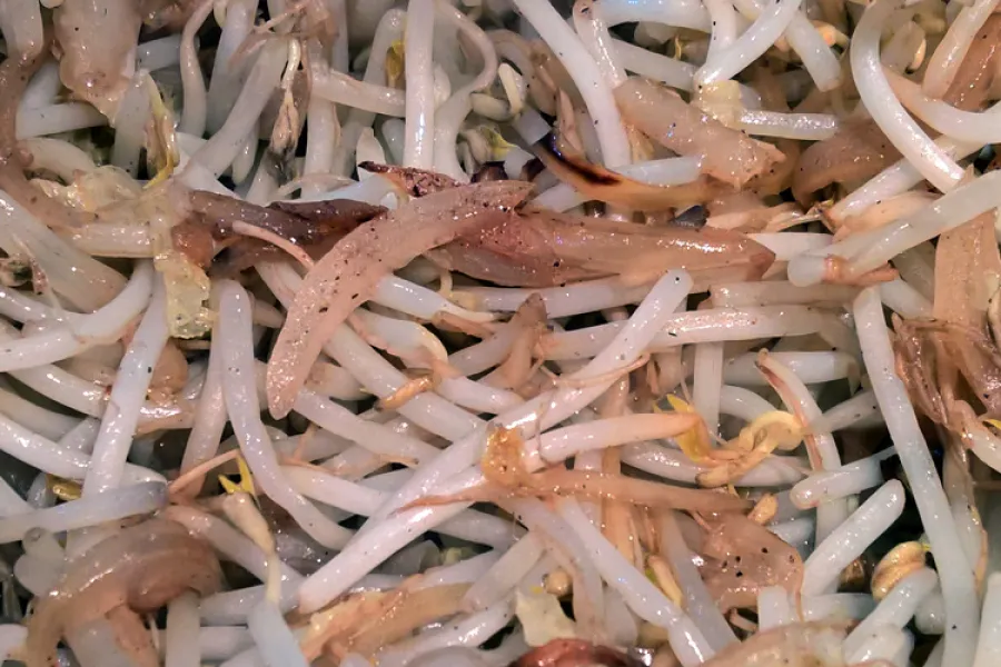 Brotes de soja salteados.