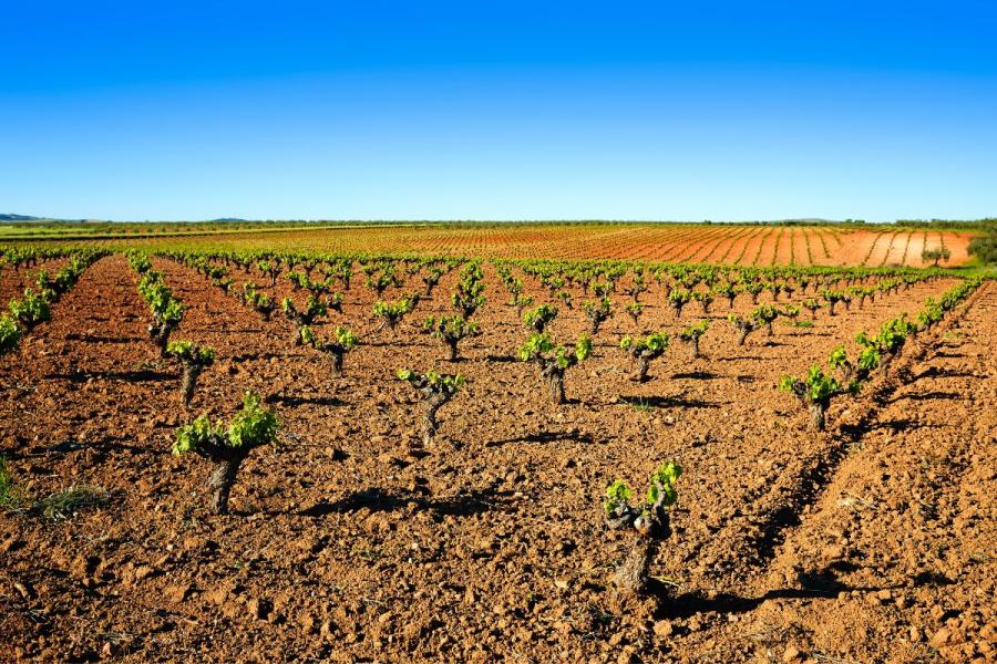 Extremadura y la Ribera del Guadiana.