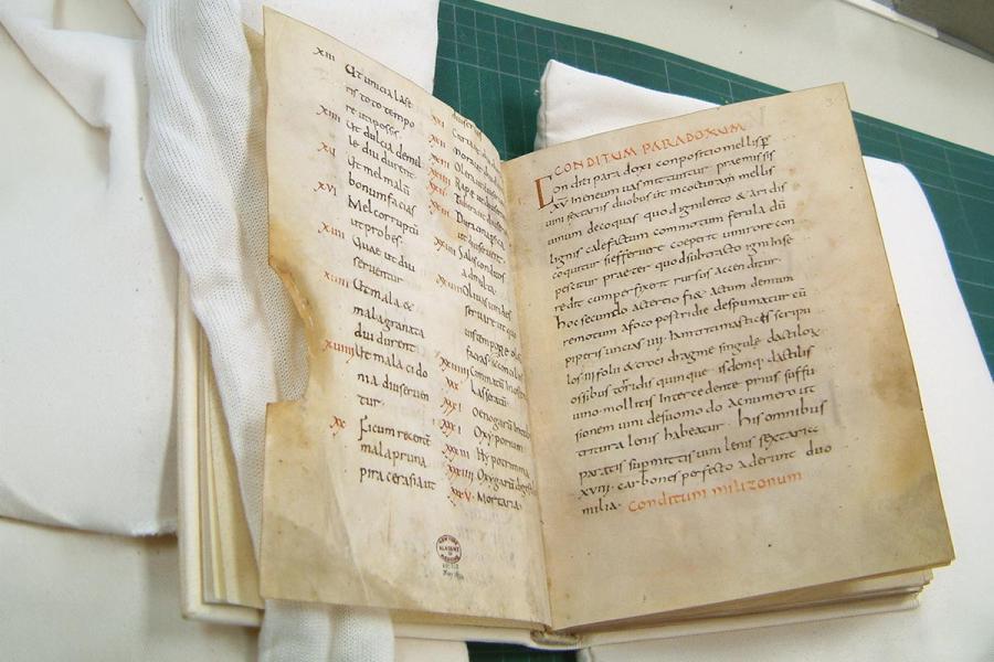 Manuscrito de Apicius, 900 AD, del monasterio de Fulda, Alemania, adquirido por la New York Academy of Medicine.