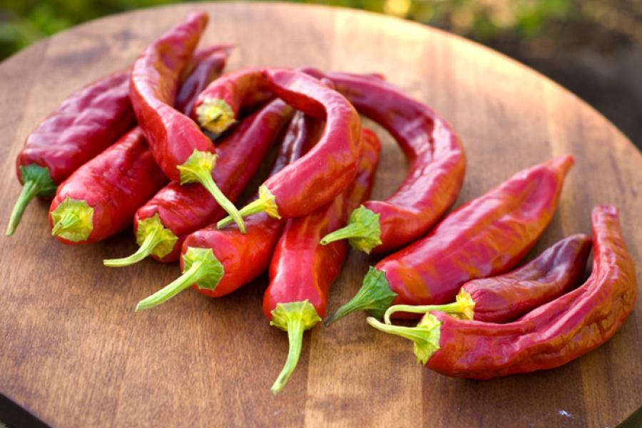 Guindillas frescas, o chiles rojos fresocs
