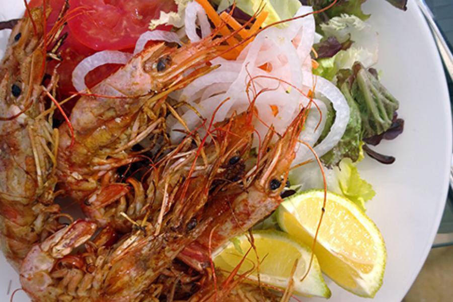 GAmpas a la plancah con ensalada de lechuga como cuarnición.