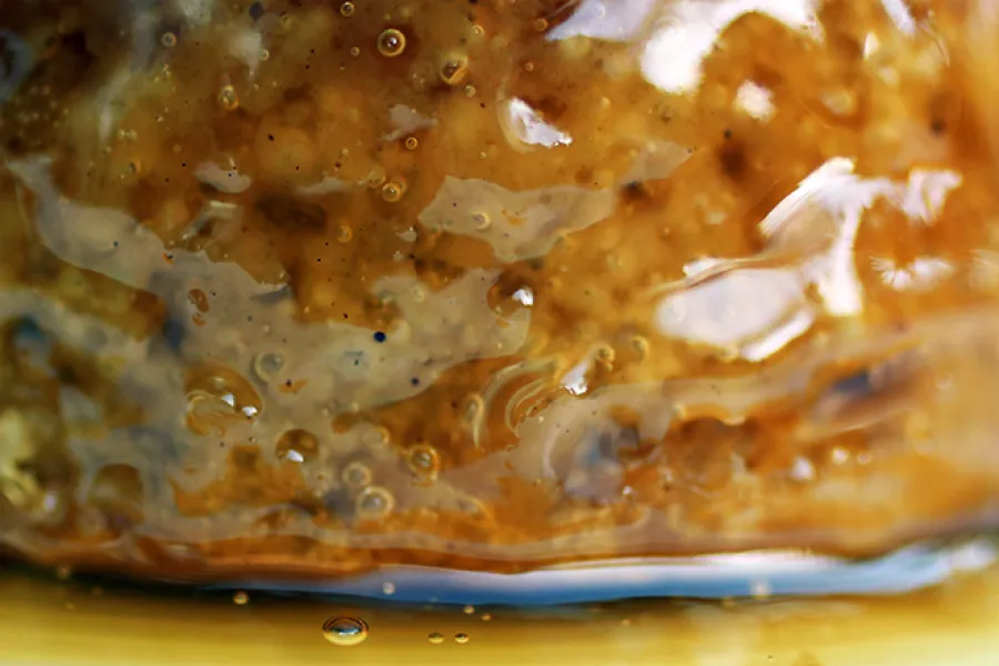Budín hecho al vapor cubierto con caramelo.