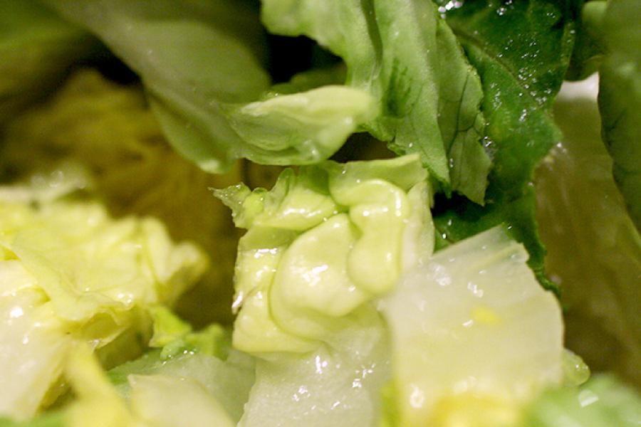 Lechuga romana.