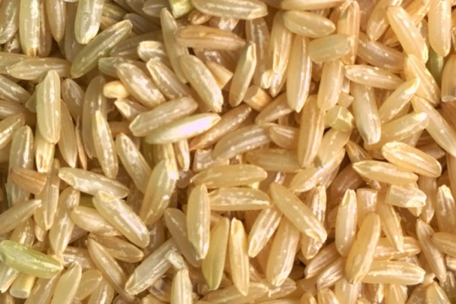 Arroz integral de grano largo.