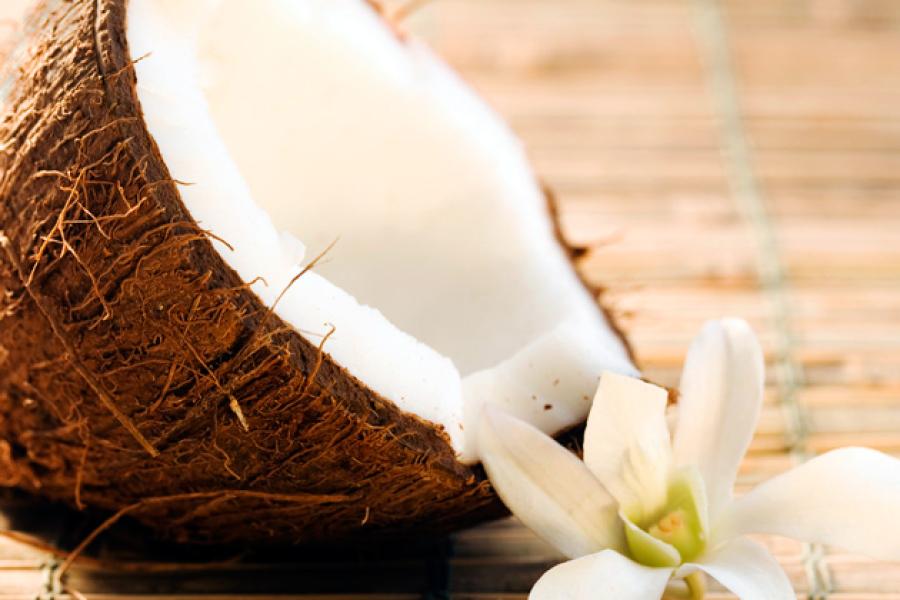 Medio coco y una flor.