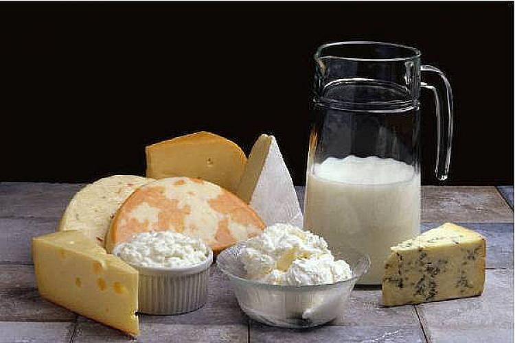 Selección de productos lácteos, incluyendo leche, nata y varios tipos de quesos.