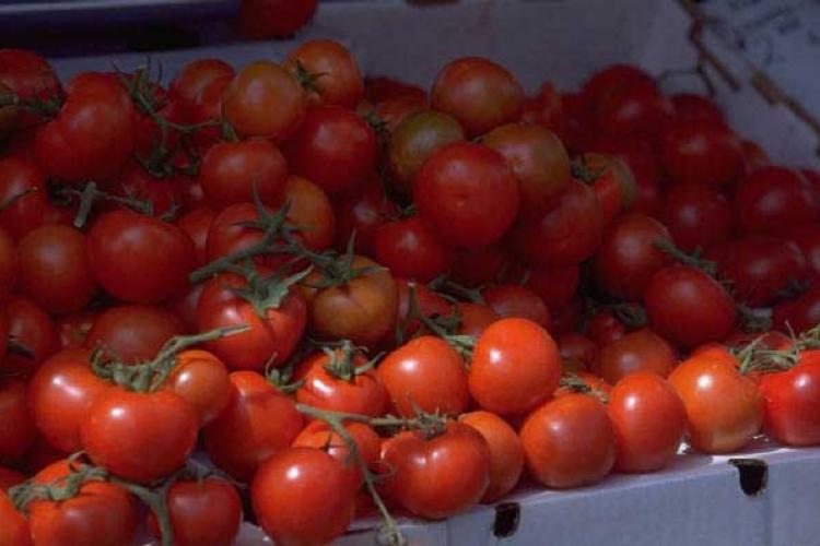 Caja de tomates para salas.